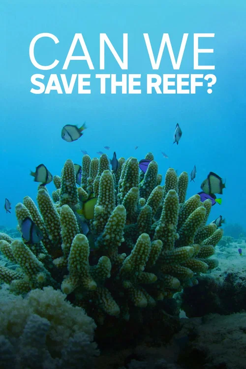 Can We Save the Reef?