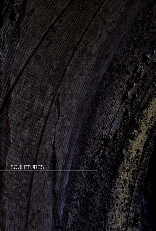 Sculptures [short]