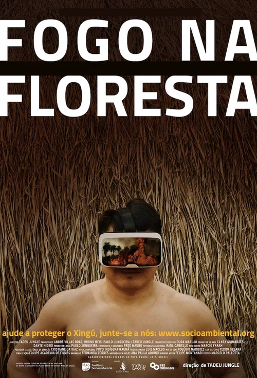 Fire in the Forest