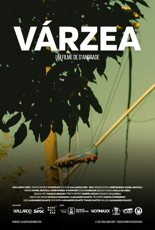 Várzea
