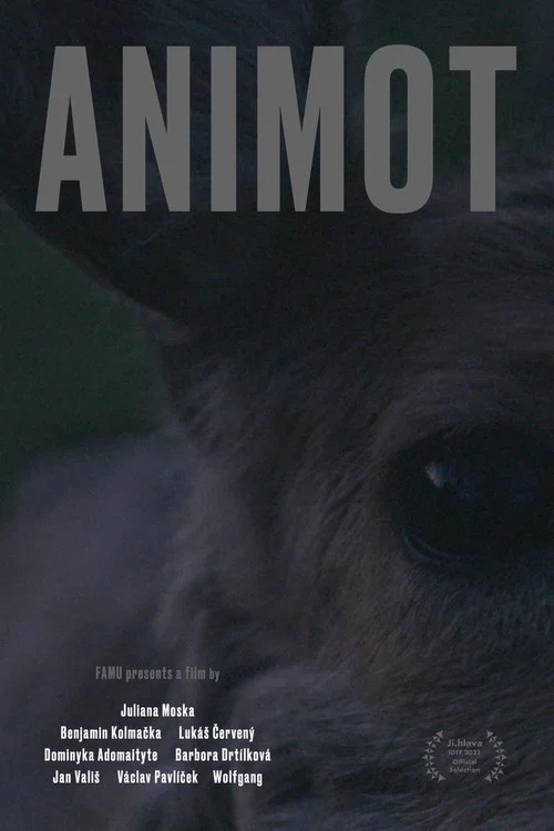 Animot