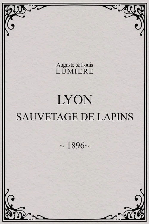 Lyon : sauvetage de lapins