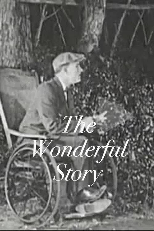 The Wonderful Story