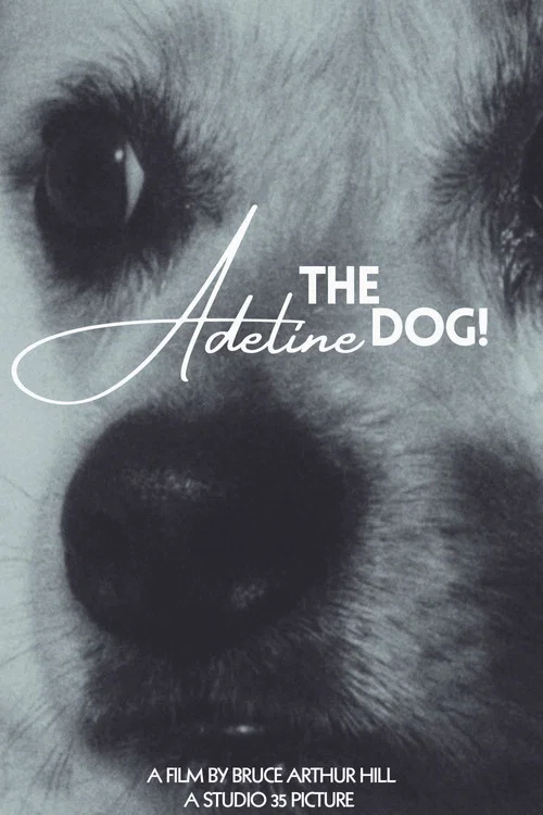 Adeline The Dog!