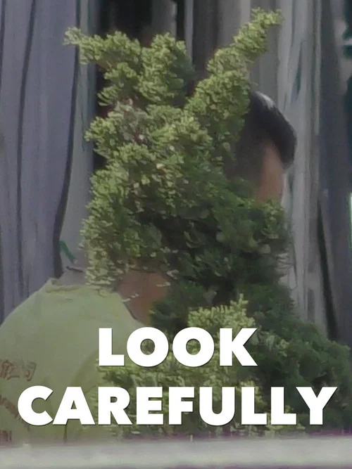 Look Carefully
