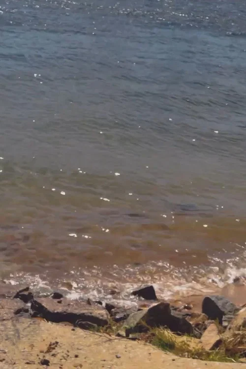 Rio, Memórias, Recomeços...