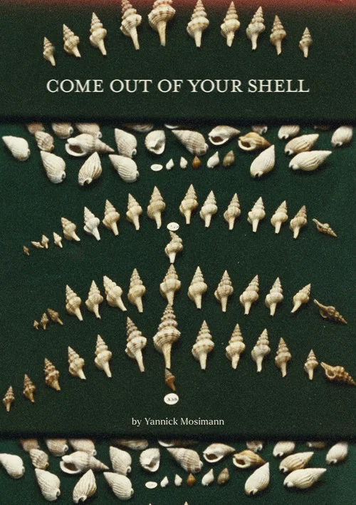 Come out of your shell
