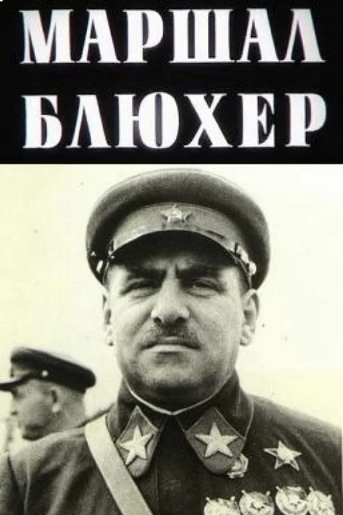 Marshal Blucher: A Portrait Against the Background of an Epoch