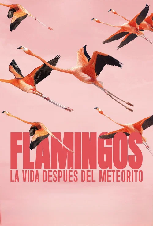 Flamingos: Life After the Meteorite