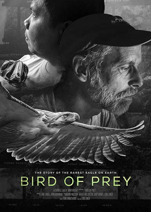 Bird of Prey