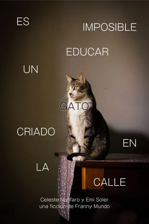 Es Imposible Educar Un Gato Criado en la Calle