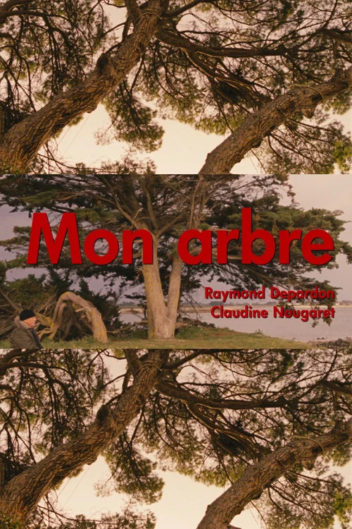 Mon arbre