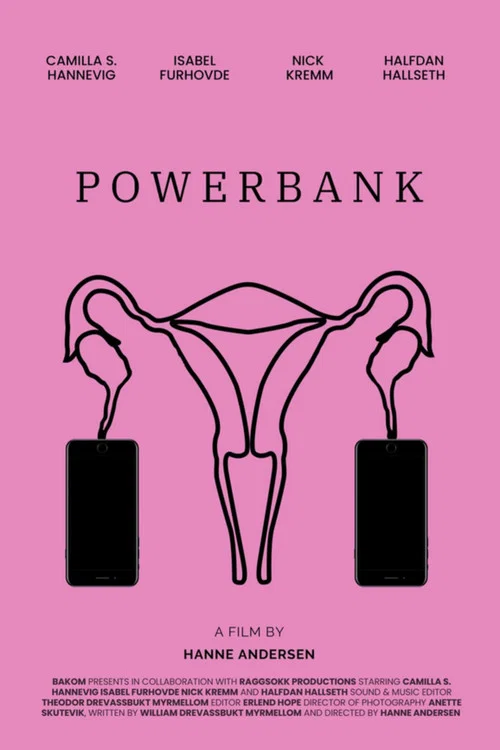Power Bank