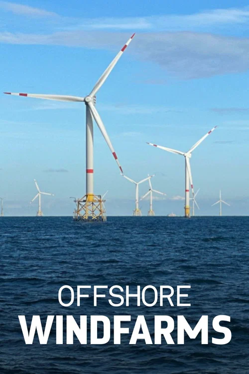 Windparks im Meer - Chance oder Risiko für die Natur?