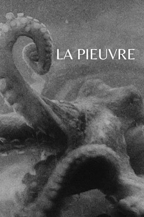 The Octopus