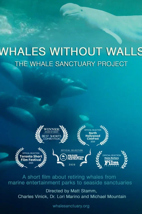 Whales Without Walls