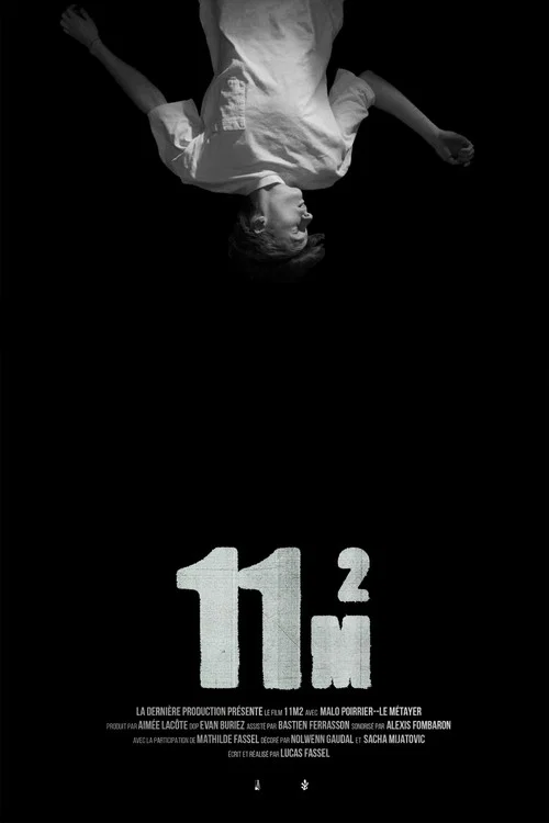 11m2