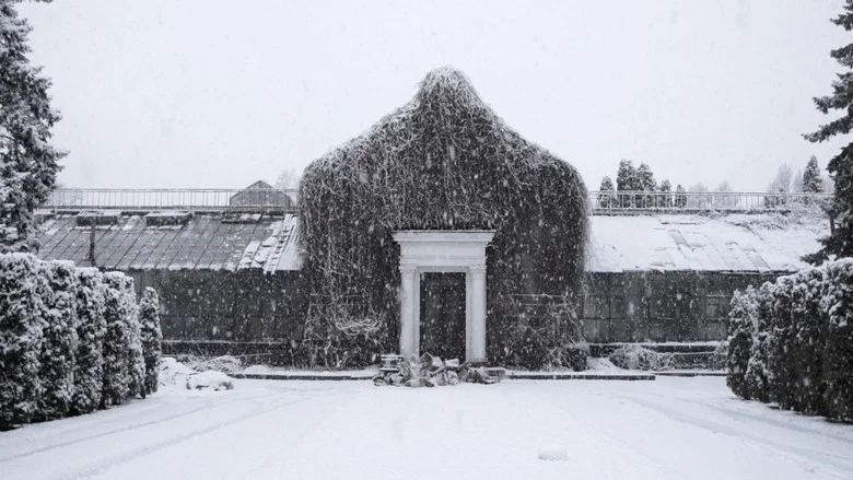 The Winter Garden’s Tale screenshot 1