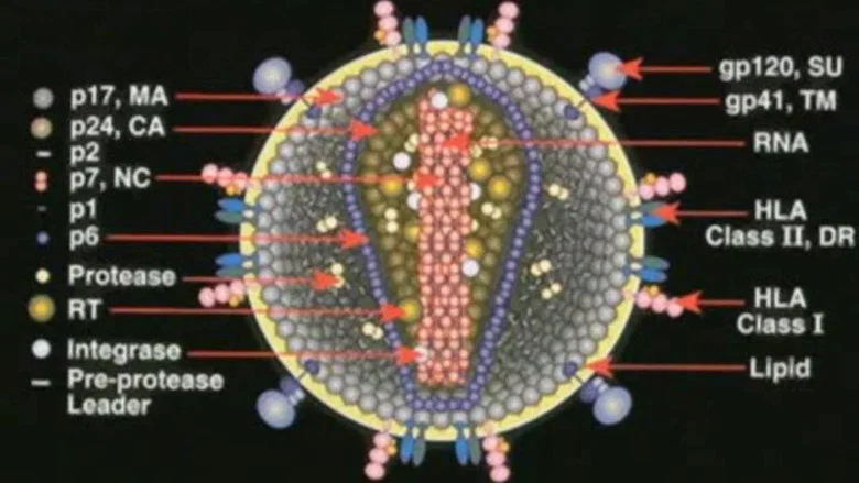 Deconstructing the Myth of Aids screenshot 1