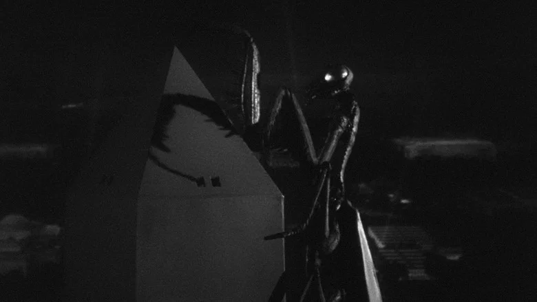The Deadly Mantis screenshot 2