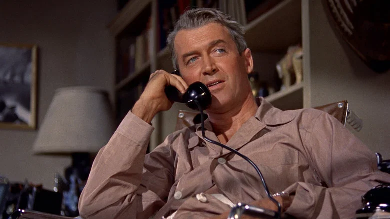 Rear Window screenshot 8