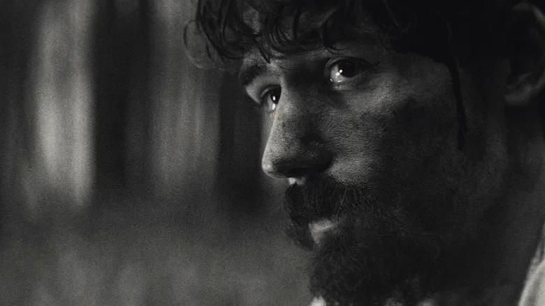 A Song For William Bird screenshot 4