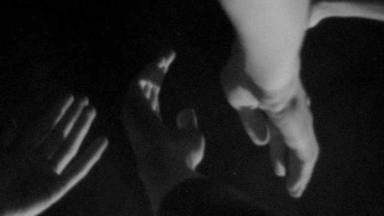 Bodywork screenshot 1