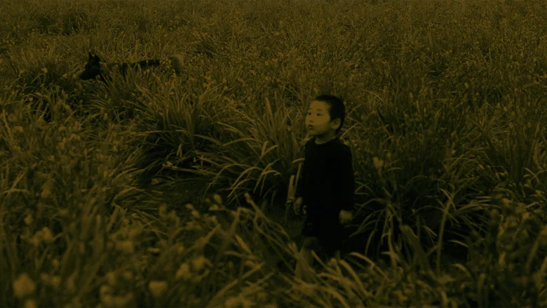 Paradise screenshot 6