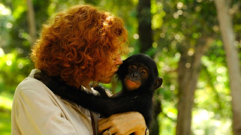 Bonobos: Back to the Wild screenshot 1