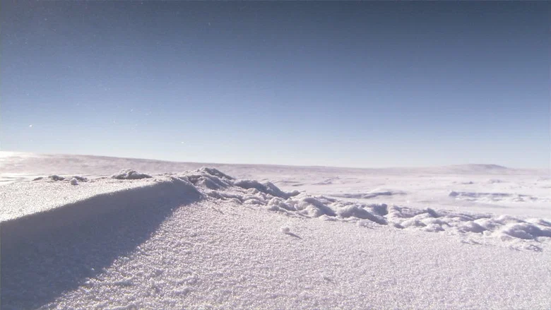 Top Gear: Polar Special screenshot 5