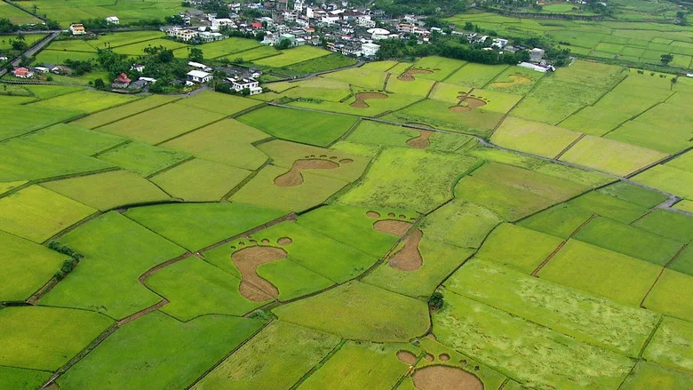 Beyond Beauty: Taiwan from Above screenshot 1