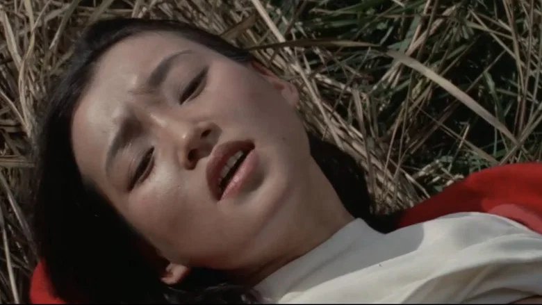 Semi-dokyumento: kankō basu - nure nure jakku screenshot 4