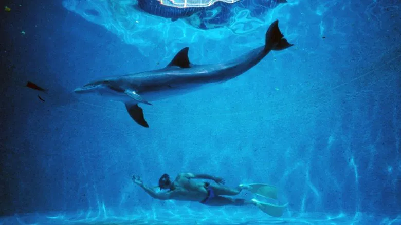 The Big Blue screenshot 1
