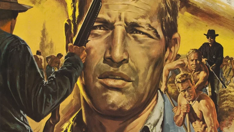 Cool Hand Luke screenshot 6