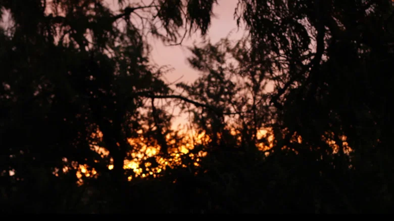 Dreaming Martin screenshot 6
