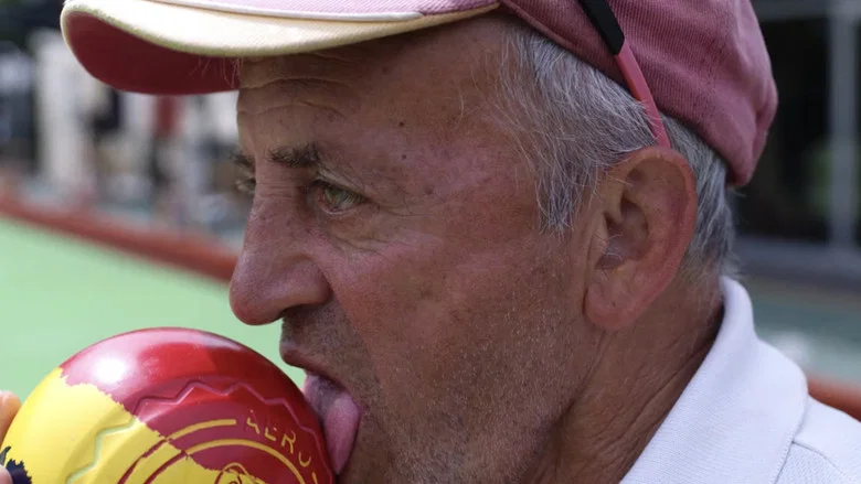 The Fitzroy's Fastest Bowler screenshot 1