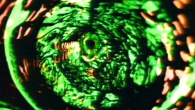 Enigma: Nazo screenshot 1