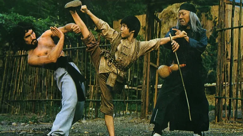Sleeping Fist screenshot 1