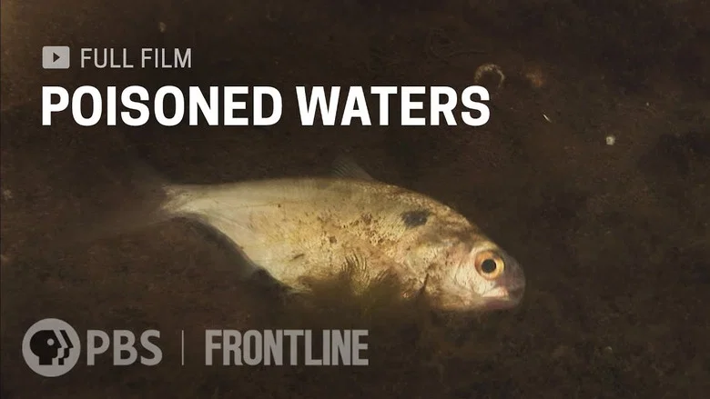 Poisoned Waters screenshot 1