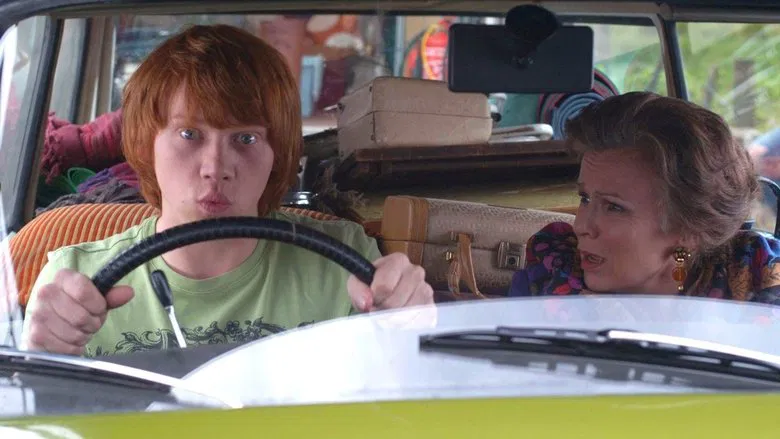 Driving Lessons screenshot 1