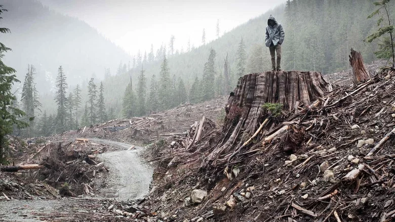 If a Tree Falls: A Story of the Earth Liberation Front screenshot 1