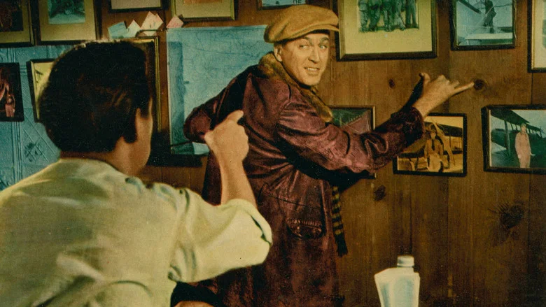 The Spirit of St. Louis screenshot 1