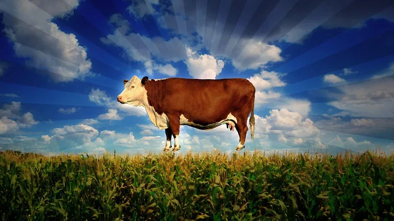 Food, Inc. screenshot 1