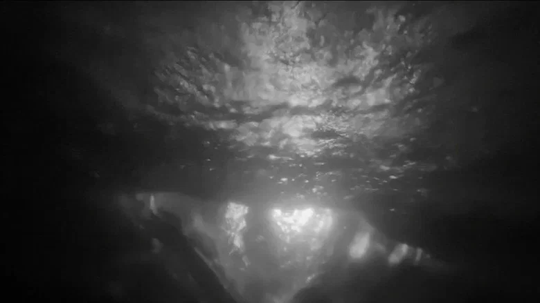NEXT CIRCLE screenshot 3