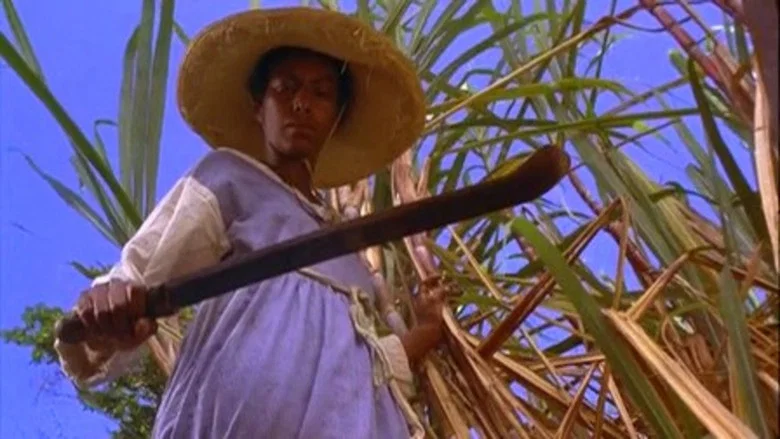 Sankofa screenshot 4