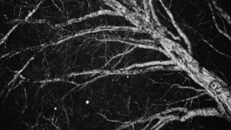 Nocturne screenshot 1