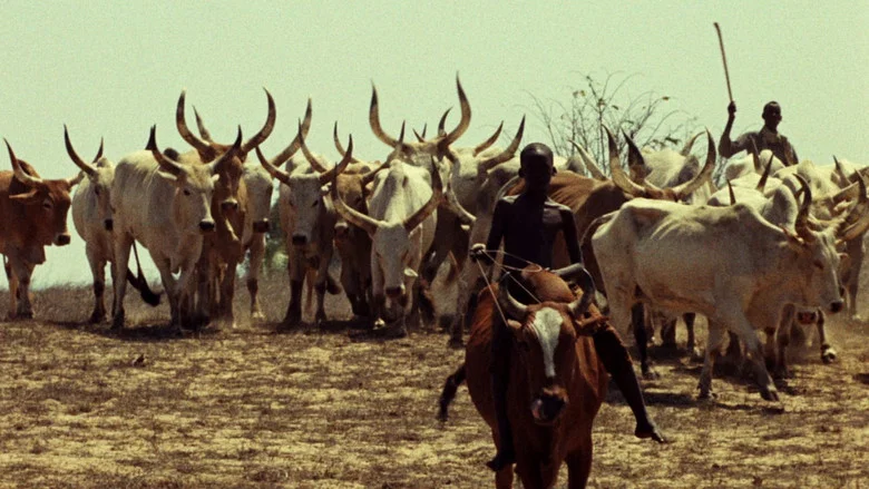 Touki Bouki screenshot 5