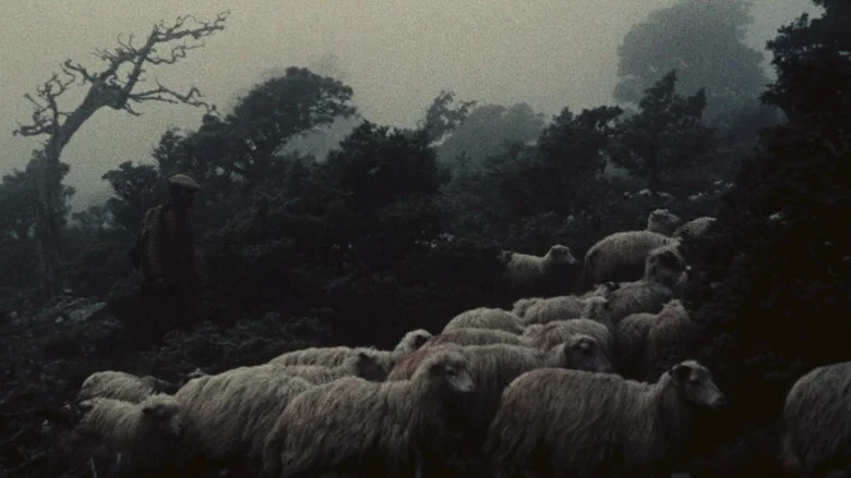 Orgosolo’s Shepherds screenshot 3