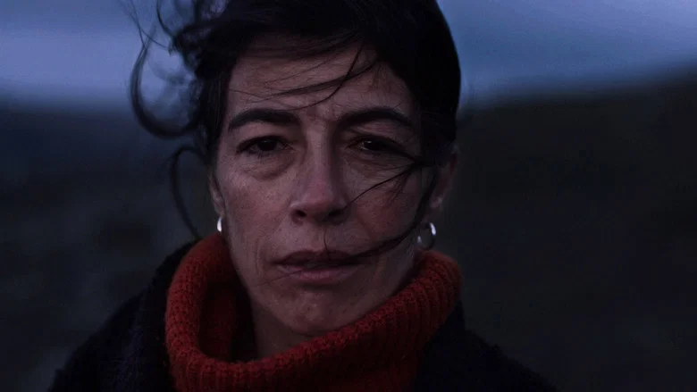 Facing the Wind screenshot 1