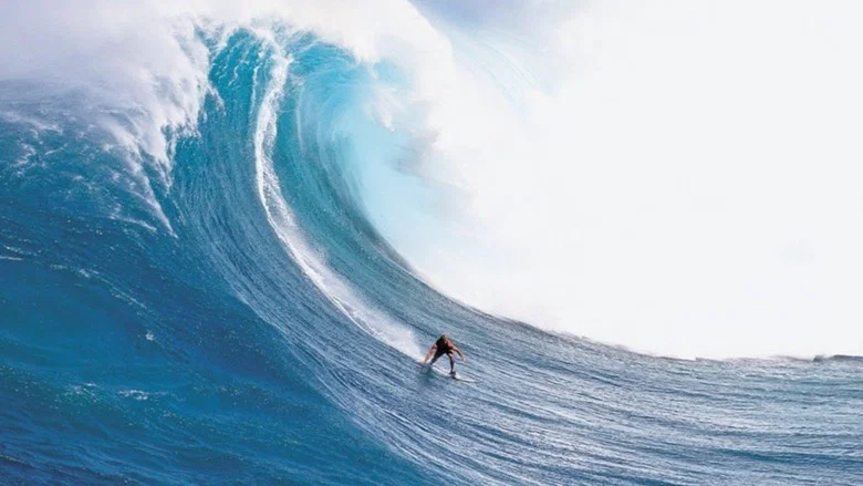 Billabong Odyssey screenshot 3